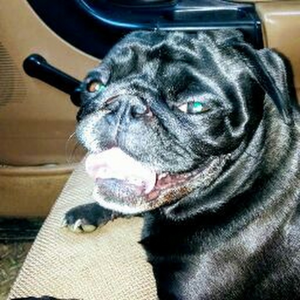 Meet your Posher, Vanna